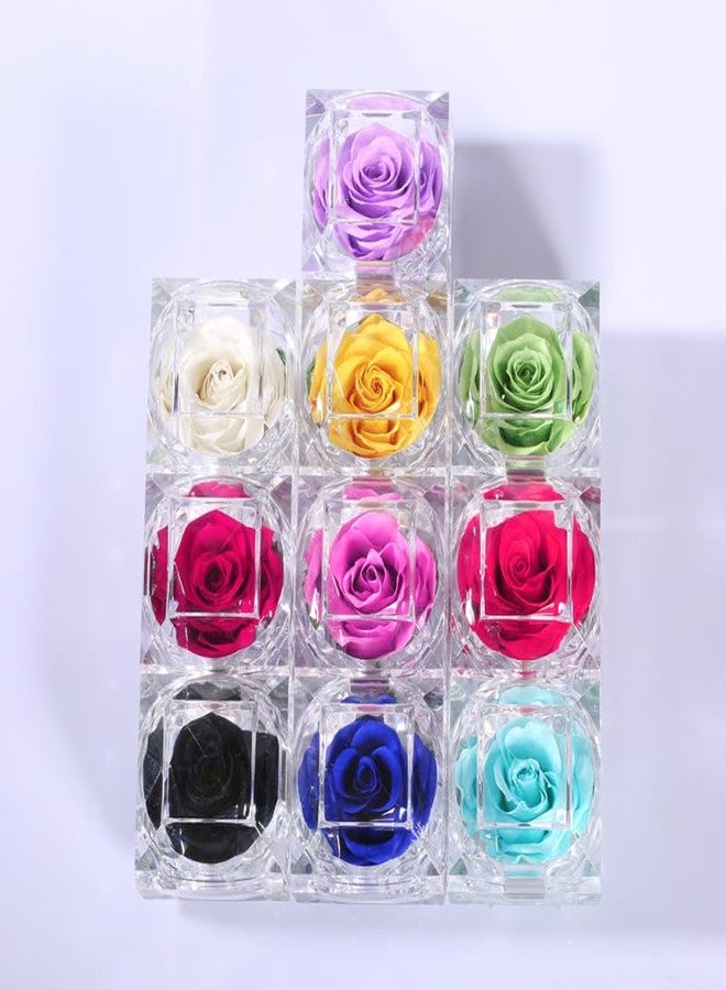 بيستونزون وردة بيستونزون الأبدية المحفوظة، وردة لا تذبل أبدًا، وردة حقيقية محفوظة في علبة خاتم شفافة صغيرة، زهرة أبدية للنساء والأمهات والصديقات والجدة في عيد الحب (وردية) - Image 5