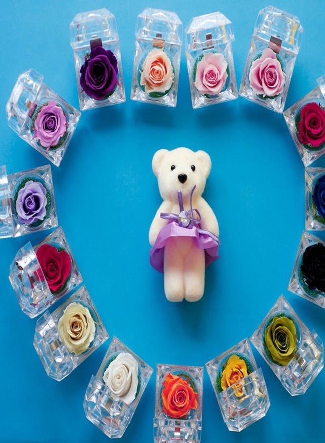 بيستونزون وردة بيستونزون الأبدية المحفوظة، وردة لا تذبل أبدًا، وردة حقيقية محفوظة في علبة خاتم شفافة صغيرة، زهرة أبدية للنساء والأمهات والصديقات والجدة في عيد الحب (وردية) - Image 2