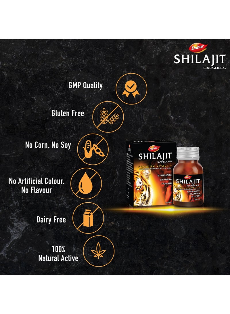 Dabur Shilajit 30 Caps