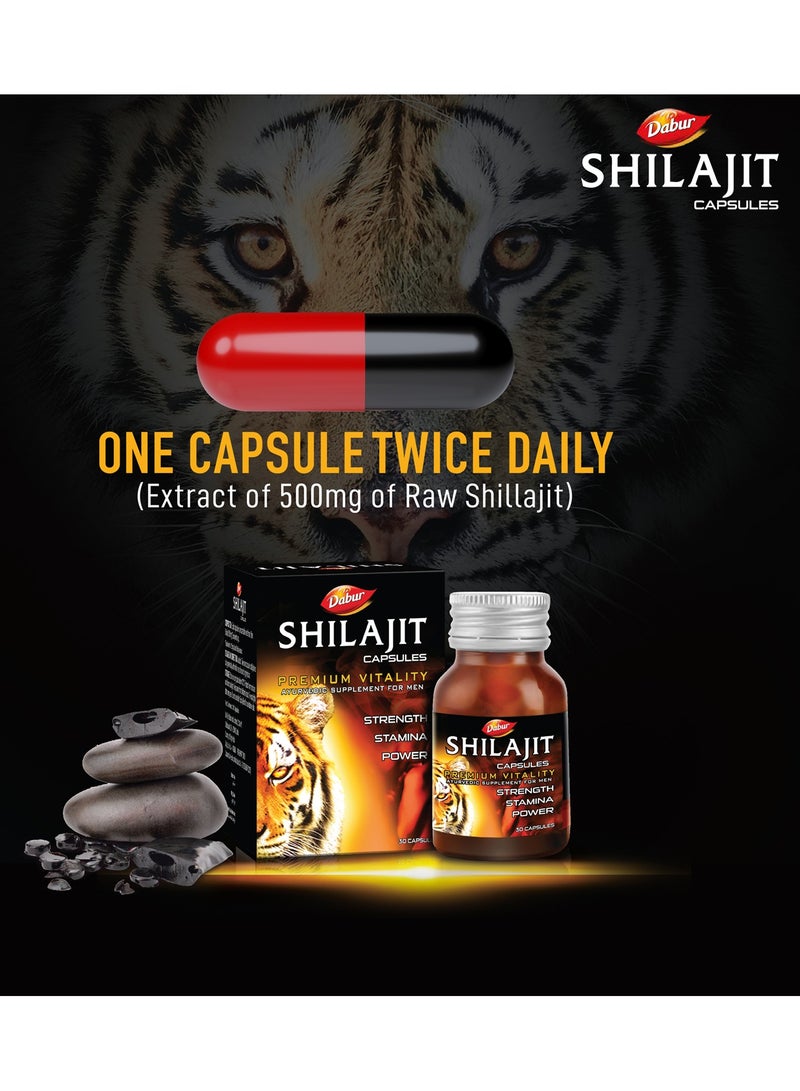 Dabur Shilajit 30 Caps