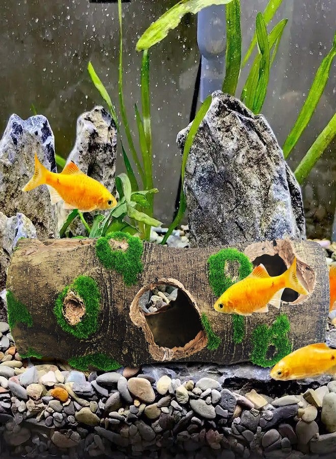 هامليدي قطعتان من زينة جذع شجرة صغير لحوض السمك، كهوف مخبأ لأسماك البيتا، زينة حوض السمك من جذع شجرة مغطى بالطحالب الراتنجية مع ثقوب وكهوف - Image 2