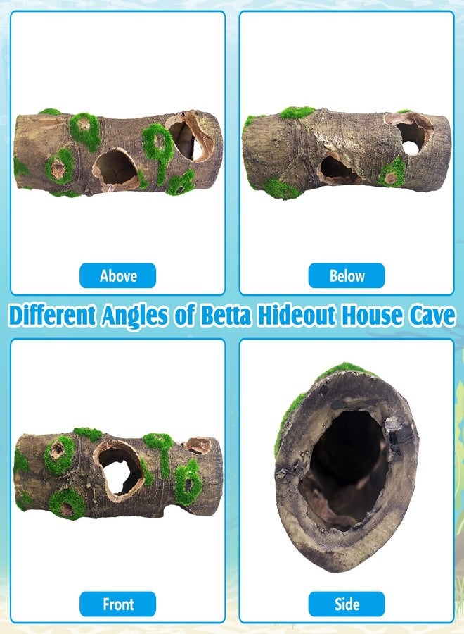 هامليدي قطعتان من زينة جذع شجرة صغير لحوض السمك، كهوف مخبأ لأسماك البيتا، زينة حوض السمك من جذع شجرة مغطى بالطحالب الراتنجية مع ثقوب وكهوف - Image 5