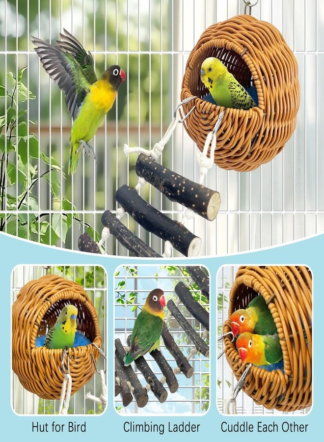 كوخ عش طيور من الخيزران مع سلم، بيت طيور معلق، مناسب لأقفاص الببغاوات الصغيرة، عش للتكاثر، مكان للعب، مخبأ للببغاوات الصغيرة، ببغاوات الكونيور، ببغاوات الزينة، ببغاوات الكوكاتيل، ببغاوات الحب - Image 4