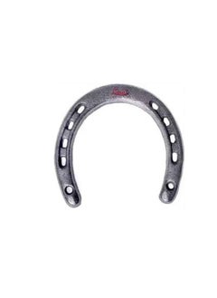 ABBASALI Black Metal Horse Shoe for Vastu and Feng Shui  - Image 1