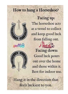 ABBASALI Black Metal Horse Shoe for Vastu and Feng Shui  - Image 2