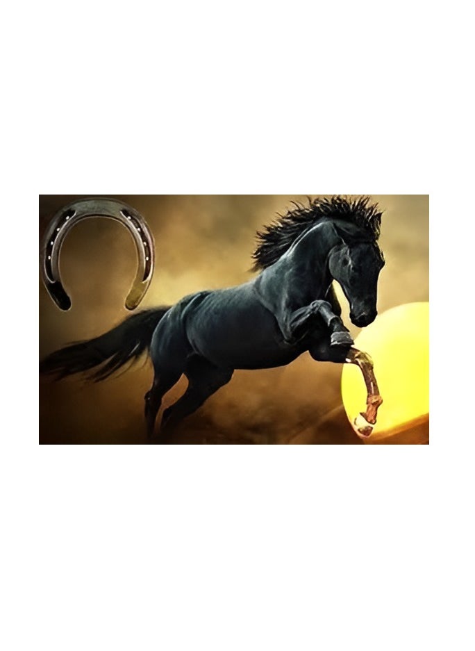 عباسلي حدوة حصان معدنية سوداء لفاستو وفنغ شوي  - Image 5