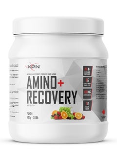 XPN XPN Amino Plus Recovery Punch 400G 