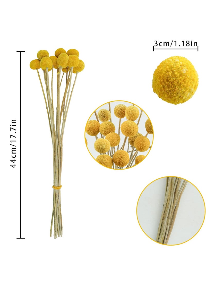 Natural Dried Flower Bouquet with Golden Balls and Golden Hammer Flowers - Perfect for Home Decor and Special Occasions. - Image 4