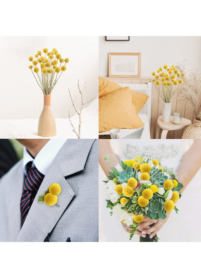 Natural Dried Flower Bouquet with Golden Balls and Golden Hammer Flowers - Perfect for Home Decor and Special Occasions. - Image 3
