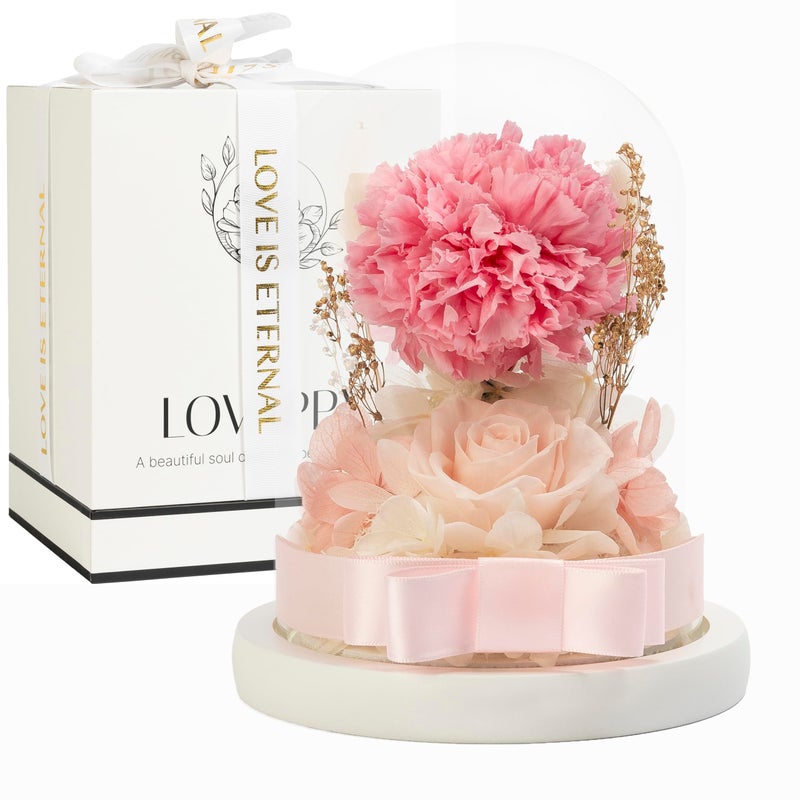 LOVAPPY Flowers Preserved Rose and Carnation in Glass Dome  Romantic Home Decor and Gift  Fresh Bouquet Forever Flowers Gift for Birthday