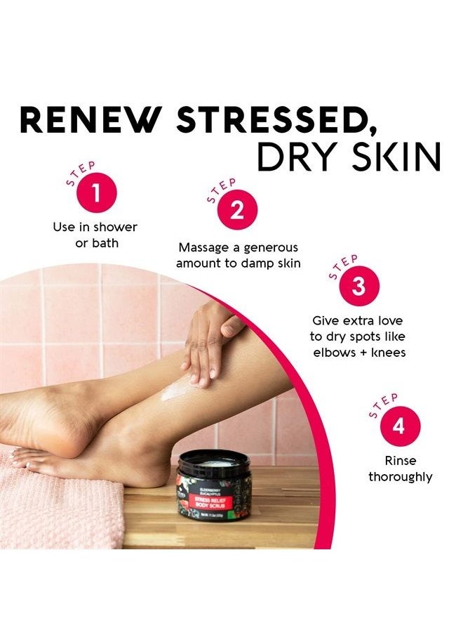 Nature's Beauty - Elderberry Eucalyptus Stress Relief Body Scrub Multi-Pack - Gently Exfoliate, Relax & Calm Dry Skin, Made w/ Shea Butter, Avocado Oil and Sweet Almond Oil, 11.3 oz (2 Pack) - Image 1