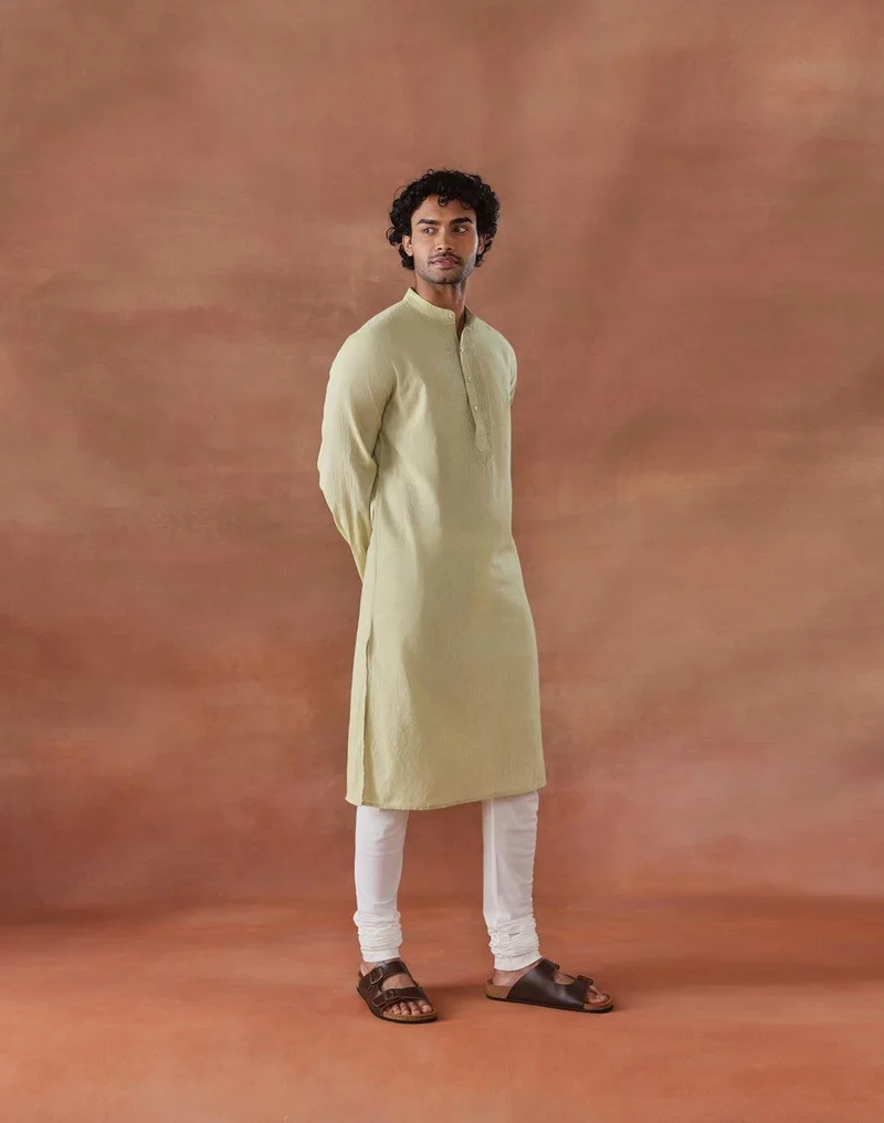 Fabindia Green Cotton Chikankari Slim Fit Long Kurta