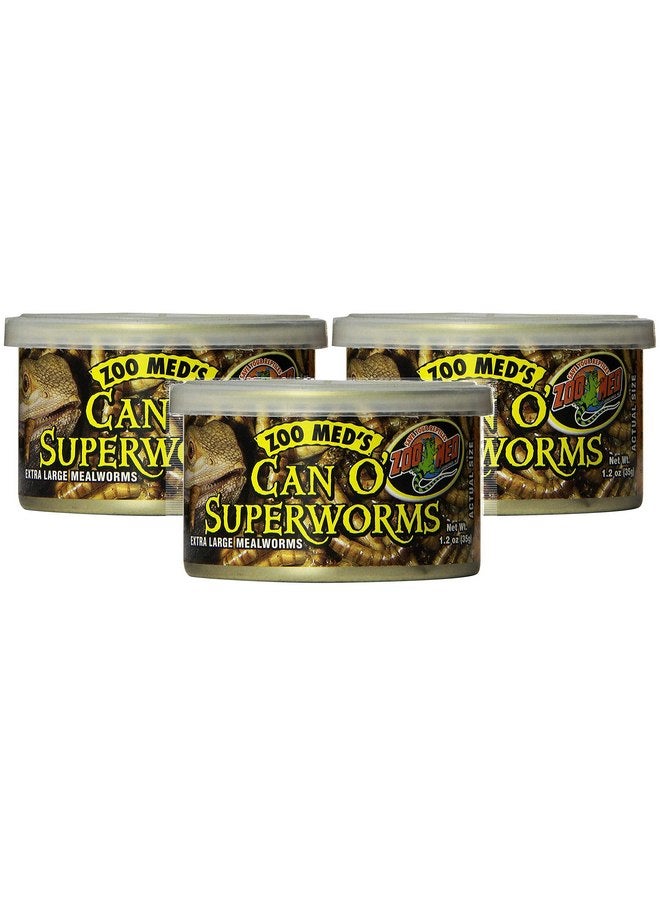 زوو ميد Zoo Med - عبوة من 3 عبوات Can O' SuperWorms، 1.2 أونصة لكل علبة