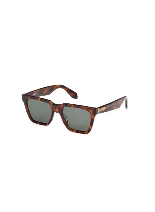 Adidas Wayfarers Sunglasses