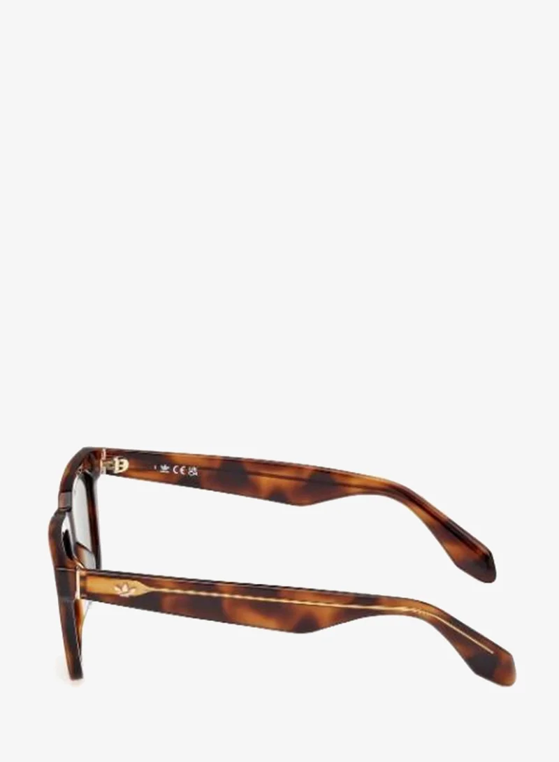 Adidas Wayfarers Sunglasses