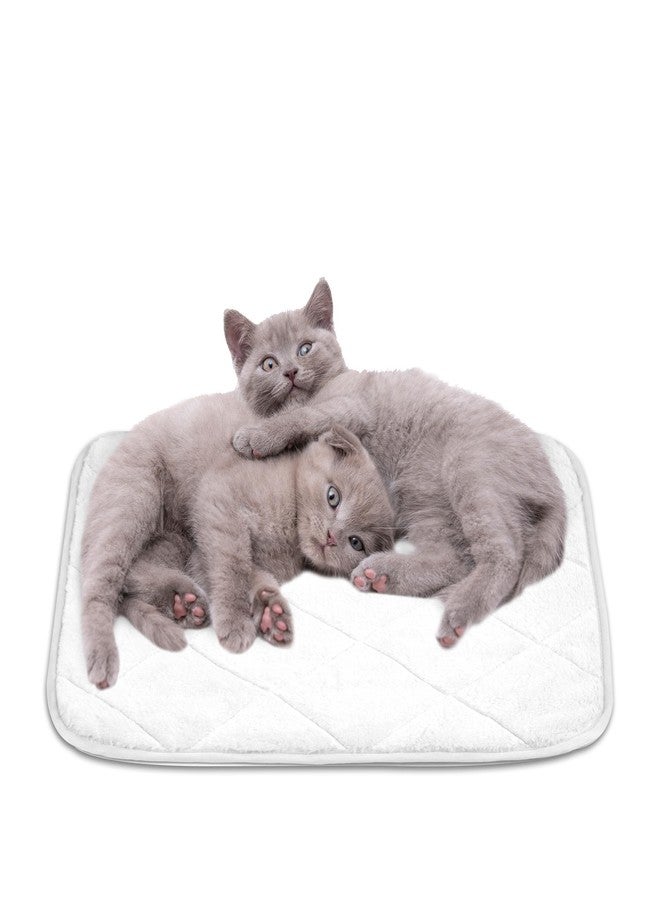 NWK Fluffy Self Warming Cat Mat, Cat Blanket, Thermal Dog Mat, Washable, Non-Slip Bottom for Sofa & Crate & Kennel & Car Seat (Creamy White, Medium (28'' X 19'' X 0.4'')) - Image 1
