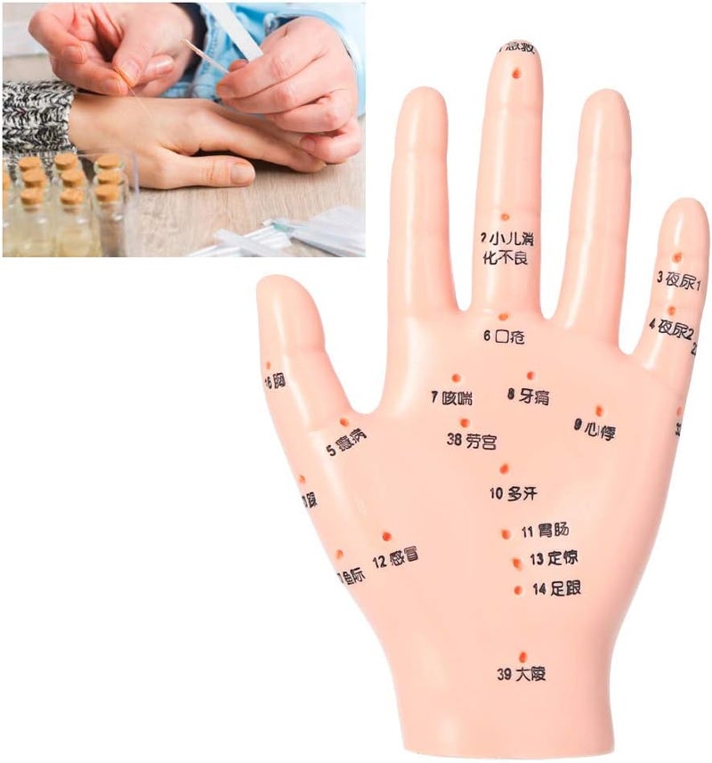 klarako Acupuncture Hand Model,Accurate Acupoint Teaching Hand Model Flexible Hand Model for Hospital School - Image 5