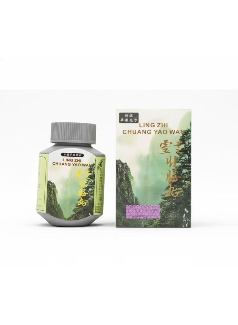 LING Zhi Chuang Yao Wan Capsules Traditional Lingzhi Herbal Formula Bottle Pack Wellness Supplement - Image 1