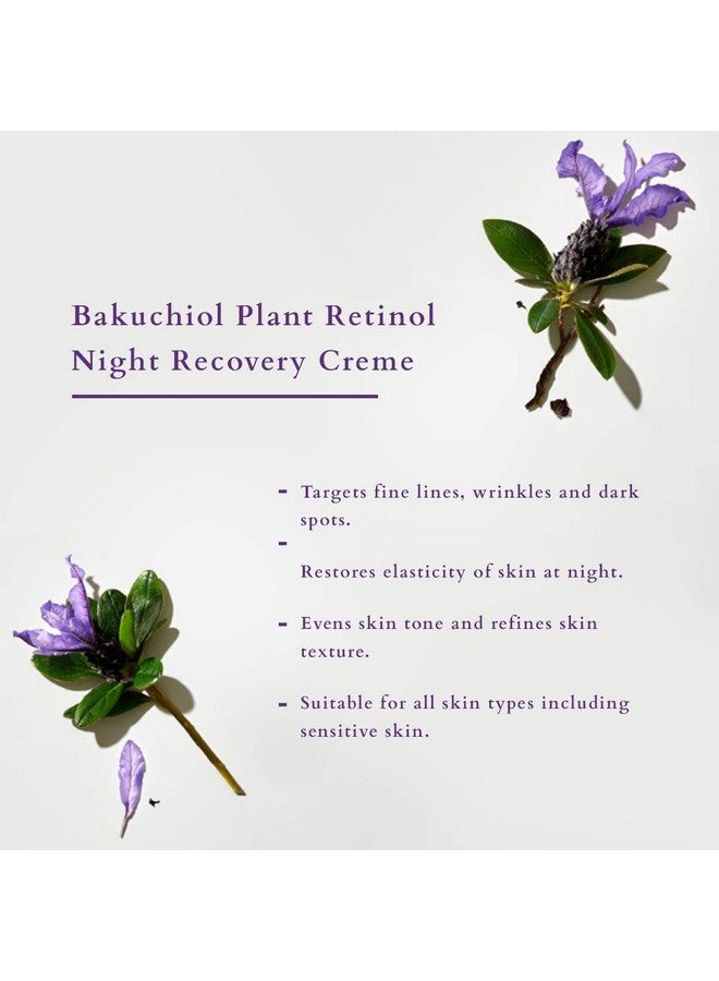 Lotus Organics+ Bakuchiol Plant Retinol Recovery Night Cream | Reduces Fine Lines & Wrinkles | Certified Organic | 30G - Image 3