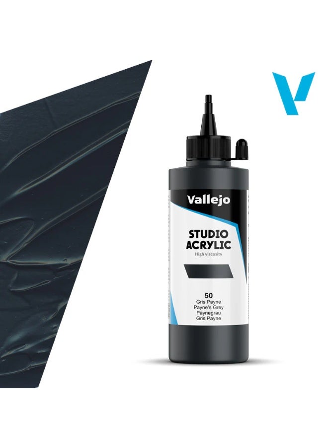 ألوان أكريليك احترافية للفنانين والاستوديوهات - رمادي باين، صبغة عالية، تغطية ناعمة على القماش والخشب - ٢٠٠ مل