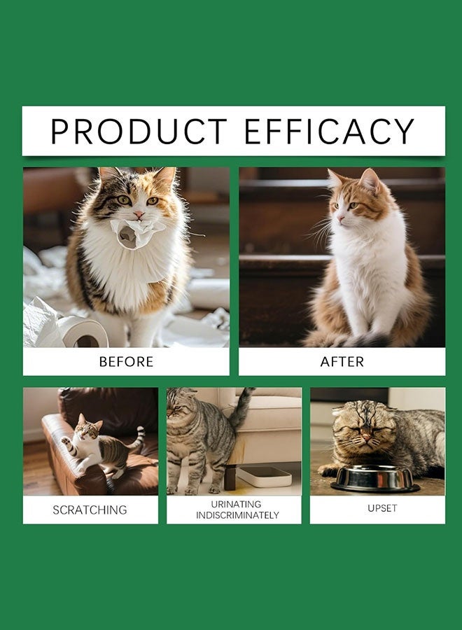 ييبونغ بخاخ طارد للقطط، مكونات طبيعية، طارد فعال للقطط، رادع للخدش، أداة تدريب، مانع آمن لتبول القطط، لحماية الأثاث والجدران - Image 5