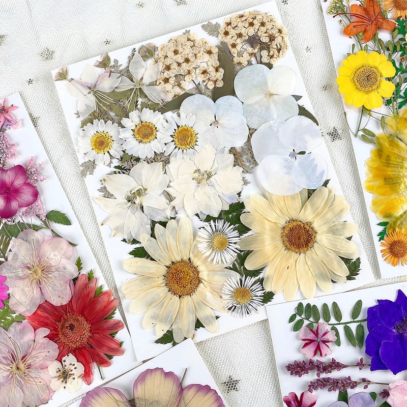 Bluejw ZS038 Natural Dried Flowers for Resin, 25 Pieces Pressed Plants Kit - DIY Festival Gifts, Home Decor - Image 5