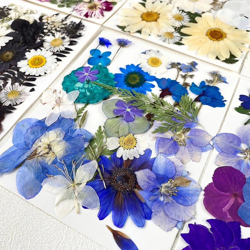 Bluejw ZS038 Natural Dried Flowers for Resin, 25 Pieces Pressed Plants Kit - DIY Festival Gifts, Home Decor - Image 3