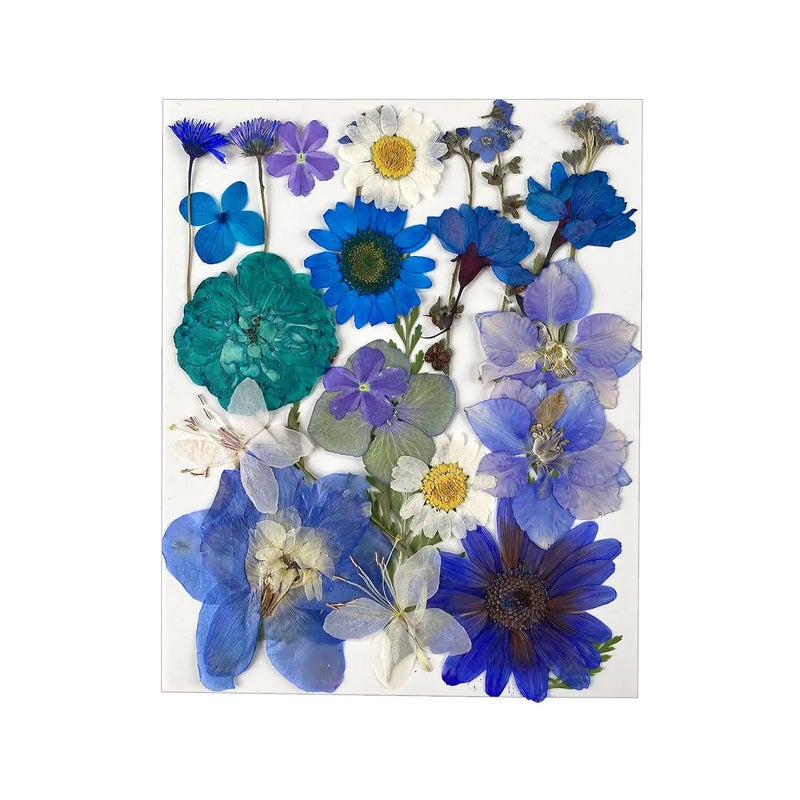 Bluejw ZS038 Natural Dried Flowers for Resin, 25 Pieces Pressed Plants Kit - DIY Festival Gifts, Home Decor - Image 1