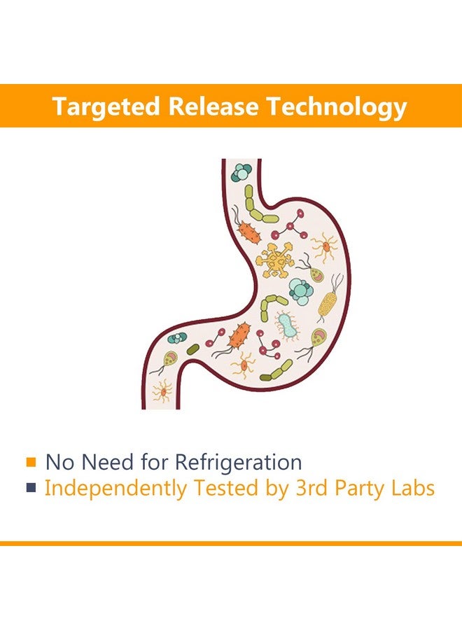 NewRhythm Probiotics 50 Billion CFU 20 Strains, 120 Veggie Capsules, Targeted Release Technology, Stomach Acid Resistant, No Need for Refrigeration, Non-GMO, Gluten Free - Image 5
