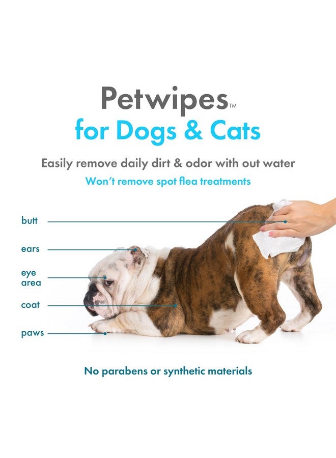 بيتكين مناديل بيتكين النباتية للحيوانات الأليفة، 200 منديل - مناديل كبيرة وسميكة، مستدامة، بيولوجية، للكلاب والقطط - للوجه، والكفوف، والأذنين، والجسم، ومنطقة العين - تنظف وترطب بوعي - فانيليا - Image 3
