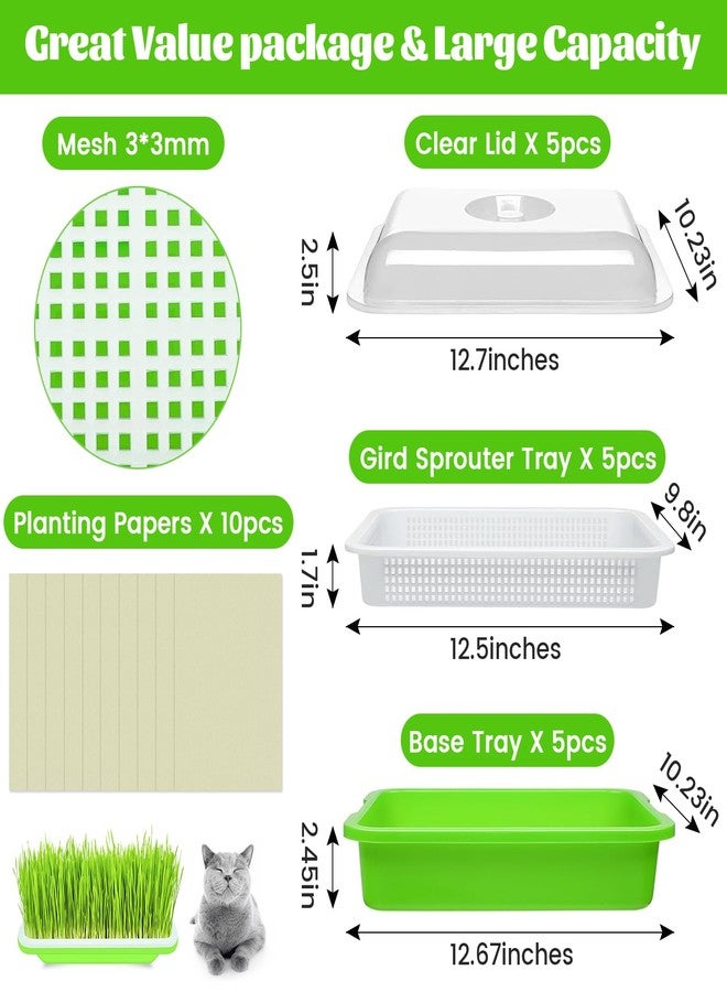 Legigo 5 Pack Seed Sprouter Trays with Lids- Soil-Free Cultivation Germination Tray, BPA Free Micro Greens Growing Trays Seed Sprouting Trays Kit with Germinating Paper for Wheatgrass, Beans and More - Image 2