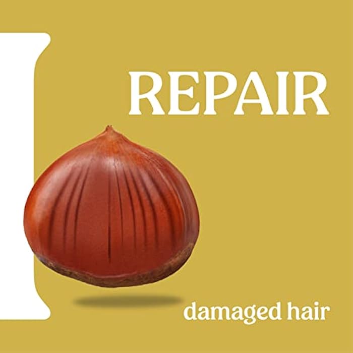 ITÍNERA Instant Protection Conditioner with Tuscan Hills Chestnut (12.51 fl oz) - for Damaged Hair - Vegan Friendly - 96% Natural Origin Ingredients - Image 3