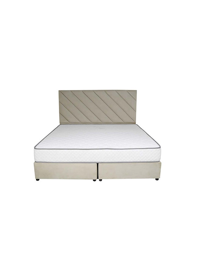 Bed and Mattress Zone Eleganza Upholstered Bed 190x90 Single Size Beige Color  - Image 3