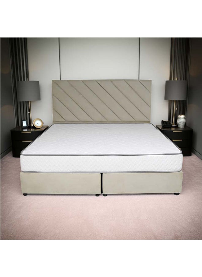 Bed and Mattress Zone Eleganza Upholstered Bed 190x90 Single Size Beige Color  - Image 1