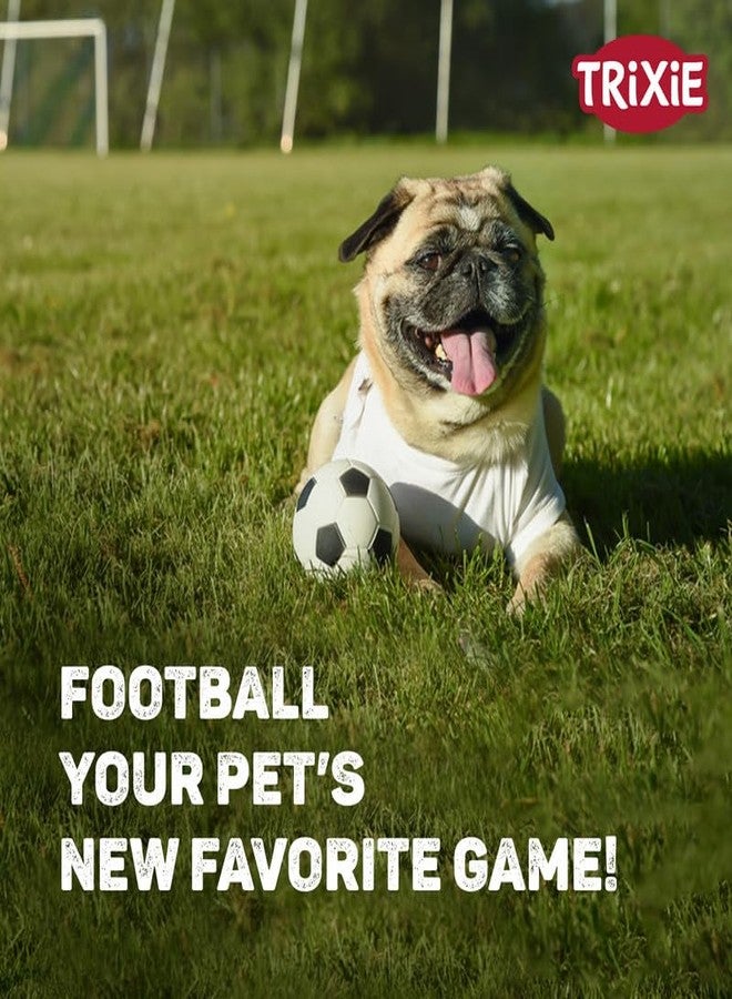 تريكسي لعبة تريكسي لكرة القدم المصنوعة من الفينيل المطاطي للكلاب - مقاس كبير، 10 سم | لعبة مضغ متينة وغير سامة مناسبة لجميع سلالات الكلاب، خفيفة الوزن وجذابة اللون لإبقاء حيوانك الأليف مشغولاً لساعات - Image 2