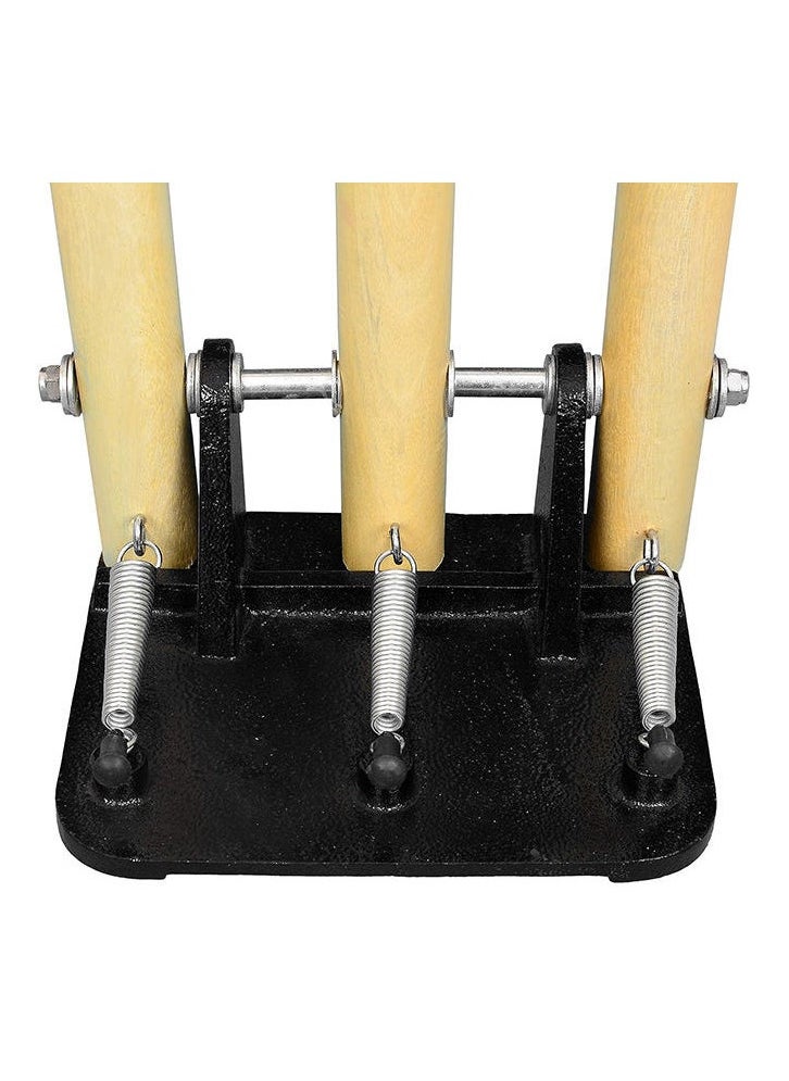 Generic Spring and Iron base Cricket Stumps Set with Bails | Wood | Size: Full  - Image 3