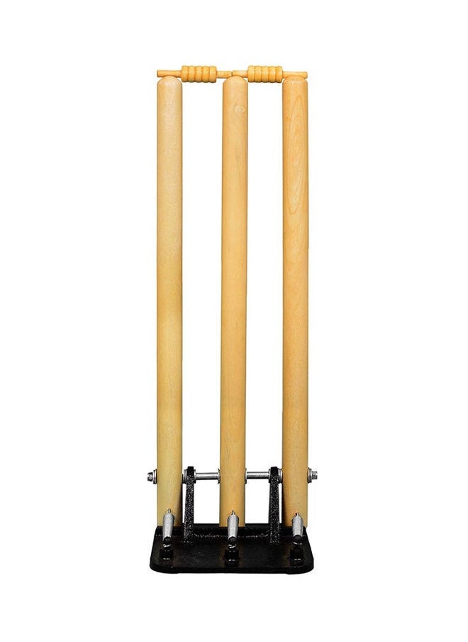 Generic Spring and Iron base Cricket Stumps Set with Bails | Wood | Size: Full  - Image 1