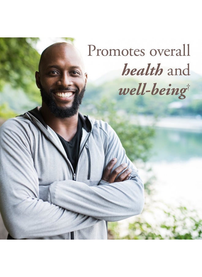 Garden of Life - Garden of Life mykind Organics Whole Food Multivitamin for Men 40+, 60 Tablets, Vegan Mens Multi for Health, Well-Being Certified Organic Whole Food Vitamins, Minerals for Men Over 40, Mens Vitamins - Image 1