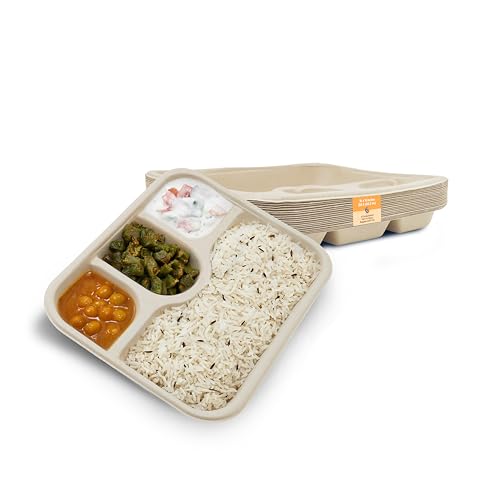 SANWALSA [4-Compartment, 10 Count, Beige Disposable Bagasse Plates | Eco-Friendly Sugarcane Meal Tray for Wedding, Party, Picnic, Event | Mess-Free Sections - Image 1