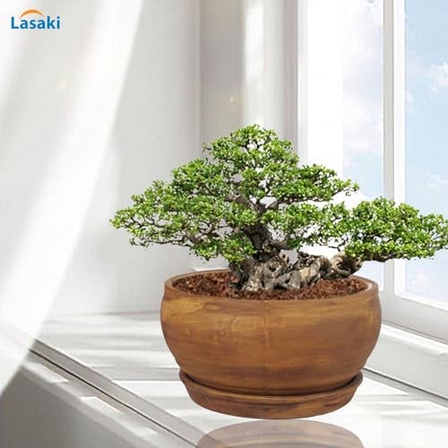 Lasaki Bowl Small Ceramic Planter with 4-inch Tray (Antique) | Mini Flower Pot/gamla for Indoor & Outdoor Garden, Balcony & Office Décor | (Bowl: H-8cm X D-15cm, Tray: H-2cm X D-13cm) (Antique_2) - Image 3