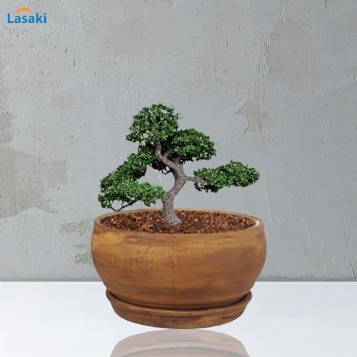 Lasaki Bowl Small Ceramic Planter with 4-inch Tray (Antique) | Mini Flower Pot/gamla for Indoor & Outdoor Garden, Balcony & Office Décor | (Bowl: H-8cm X D-15cm, Tray: H-2cm X D-13cm) (Antique_2) - Image 5