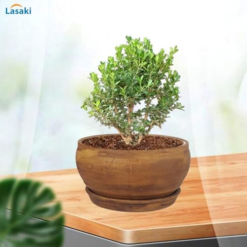 Lasaki Bowl Small Ceramic Planter with 4-inch Tray (Antique) | Mini Flower Pot/gamla for Indoor & Outdoor Garden, Balcony & Office Décor | (Bowl: H-8cm X D-15cm, Tray: H-2cm X D-13cm) (Antique_2) - Image 4