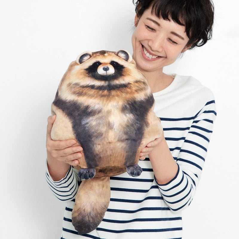Sew Butiful Raccoon Plush, 12" Raccoon Stuffed Animal, Cute Plushies for Girls, Soft Plush Pillow, Kitten Plush Throw Pillow Doll Big Plush Toy Decoration Doll Gift for Kids,Girls, Boys Birthday Christmas - Image 2