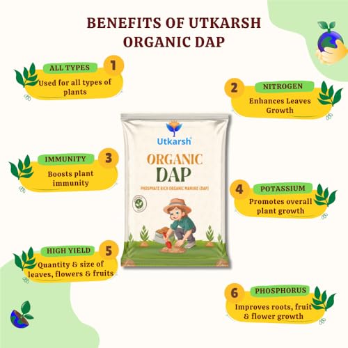 Utkarsh Organic DAP Fertilizer for Plants, Home & Garden - 900 gm Granules, 100% Water Soluble, Bio DAP Fertilizers & Manure for Plants Growth | Improves Flowering, Fruiting & Vegetables; Pack of 1 - Image 5
