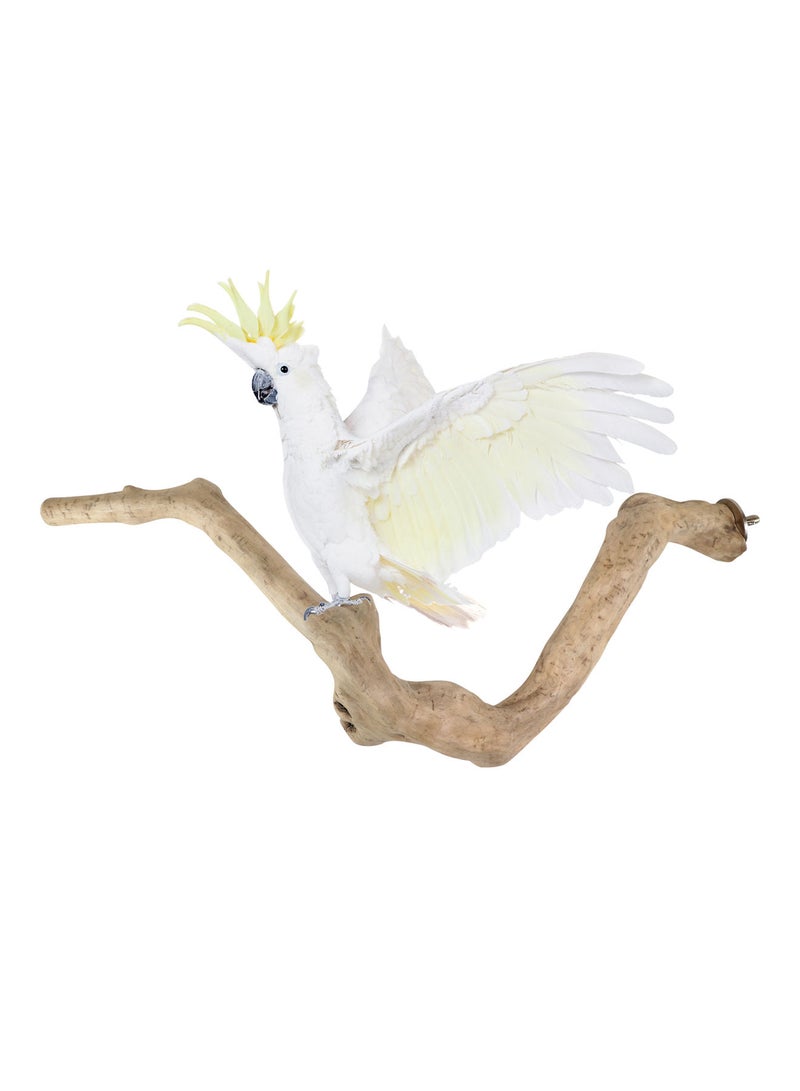 CHEWY BEAK Large parrot perch suitable for large bird cages - Image 1