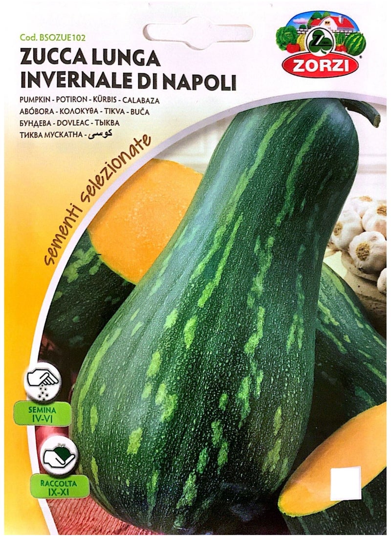 ZORZI - Zucca Lunga Seeds - Image 1