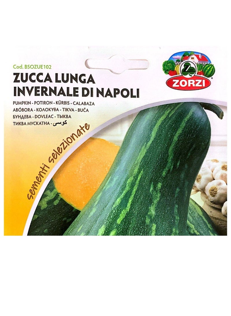 ZORZI - Zucca Lunga Seeds - Image 1