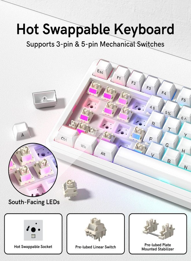 لوحة مفاتيح Keyporia L75 اللاسلكية الميكانيكية بمقبض، قابلة للتبديل السريع بنسبة 75%، هيكل مخصص للألعاب بإضاءة خلفية RGB، مفاتيح مشحمة مسبقًا، أغطية مفاتيح Crystal Jelly PBT، وضع 2.4 جيجاهرتز/USB-C/BT5.0 - Image 5