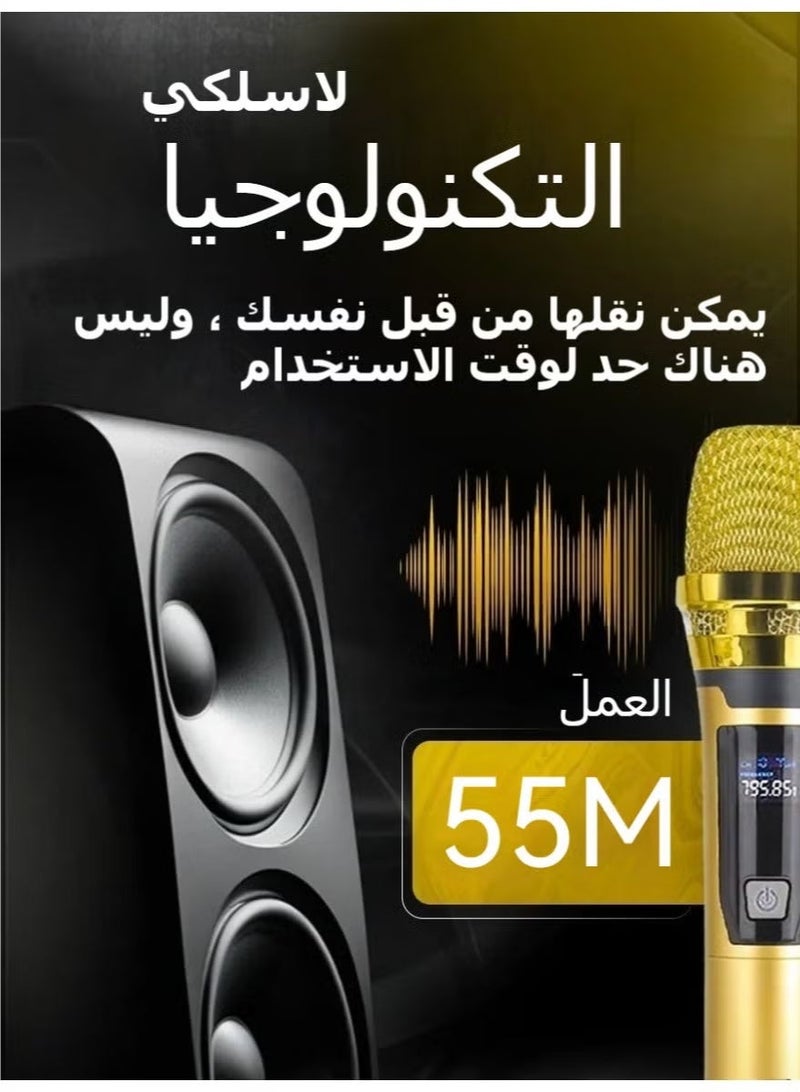 نظام ميكروفون لاسلكي مزدوج بتقنية 2.4 جيجاهرتز، ميكروفون محمول يعمل بنظام ”التوصيل والتشغيل“ مزود بجهاز استقبال قابل لإعادة الشحن، مناسب للكاريوكي والكنائس وأنظمة الصوت العامة (البطارية غير مرفقة) - Image 4