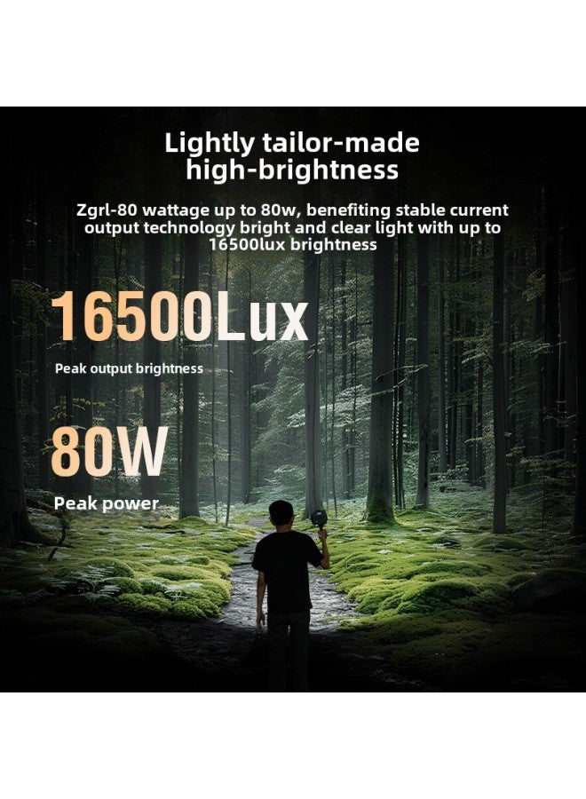 80W Handheld External Shooting Lamp COB High-power Fill Light Photography Lamp Professional Video Shooting Stage Lighting ZGRL80-Color Of Light Source:Zgrl80 Standard + Handle  - Image 3